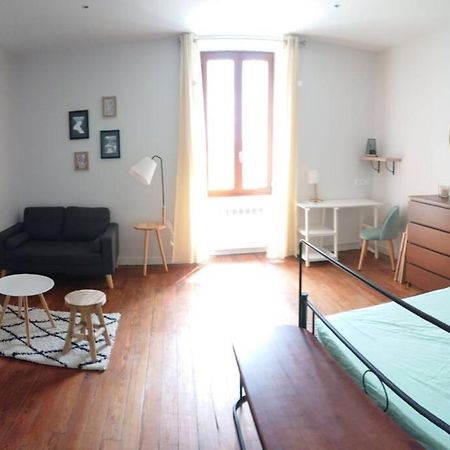 Le BEauséjour - Cosy T2 - Business ou we - gare Bellegarde-sur-Valserine Exterior foto